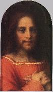 Andrea del Sarto Christ the Redeemer ff oil painting on canvas